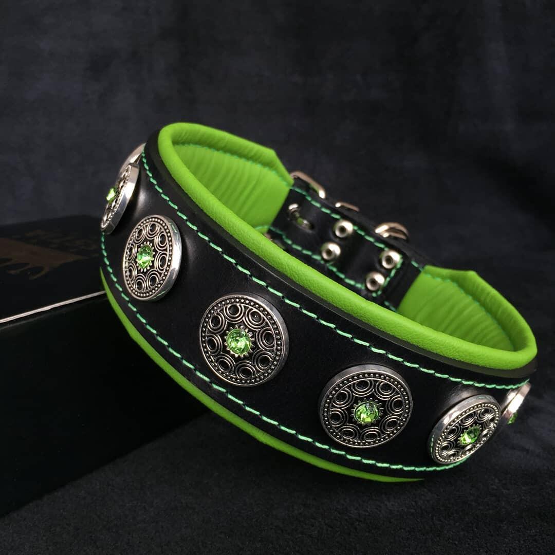 Bijou Collar — Black & Green