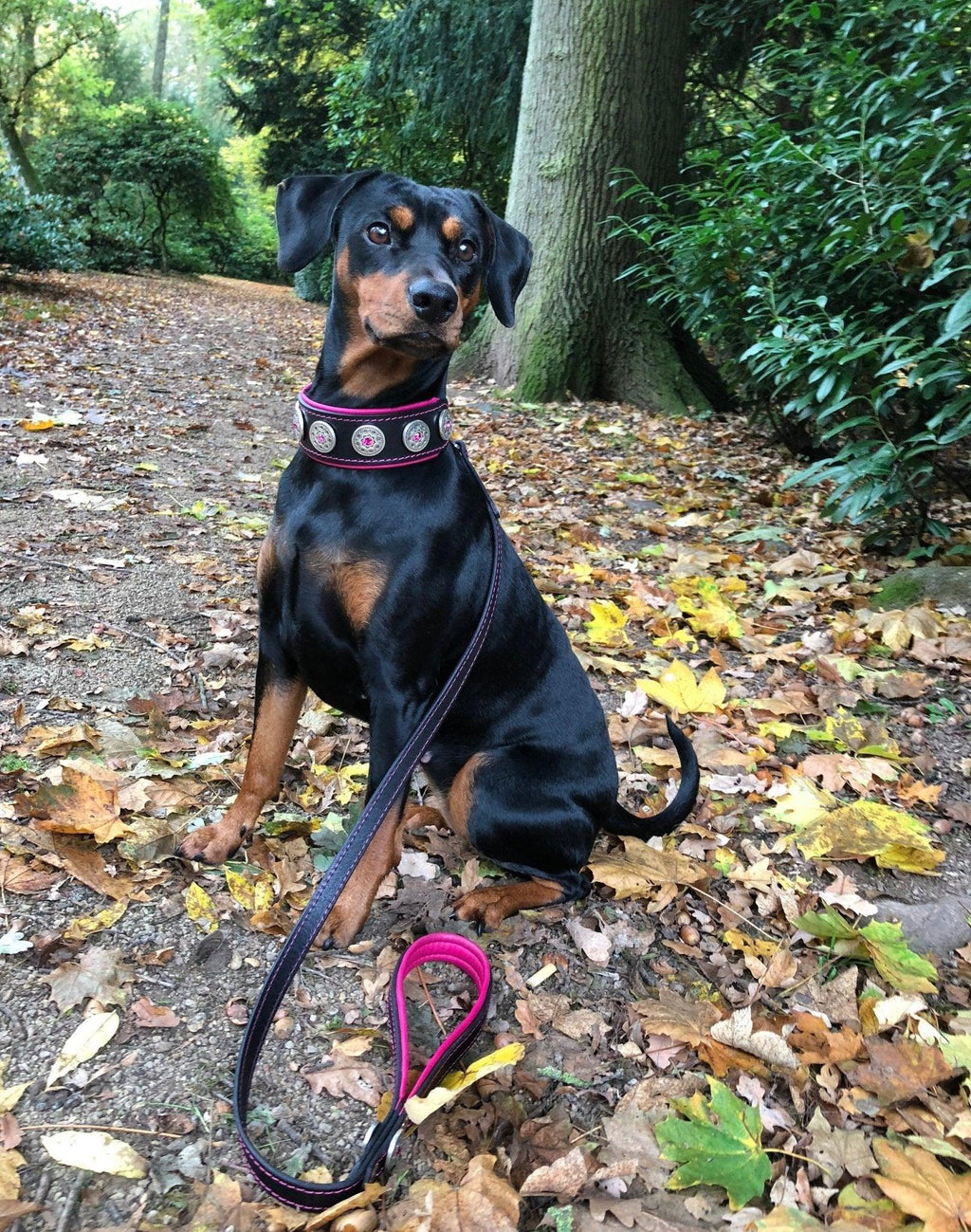 Bijou Collar — Black & Pink