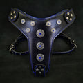 Bijou Harness — Black & Blue