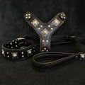 Eros Big Dog Harness, Collar & Leash Set — All Black