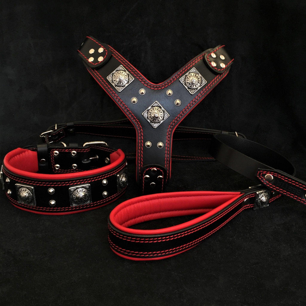 Eros Big Dog Harness, Collar & Leash Set — Black & Red