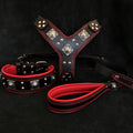 Eros Big Dog Harness, Collar & Leash Set — Black & Red