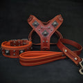 Eros Big Dog Harness, Collar & Leash Set — Brown & Orange