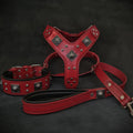 Eros Big Dog Harness, Collar & Leash Set — Red