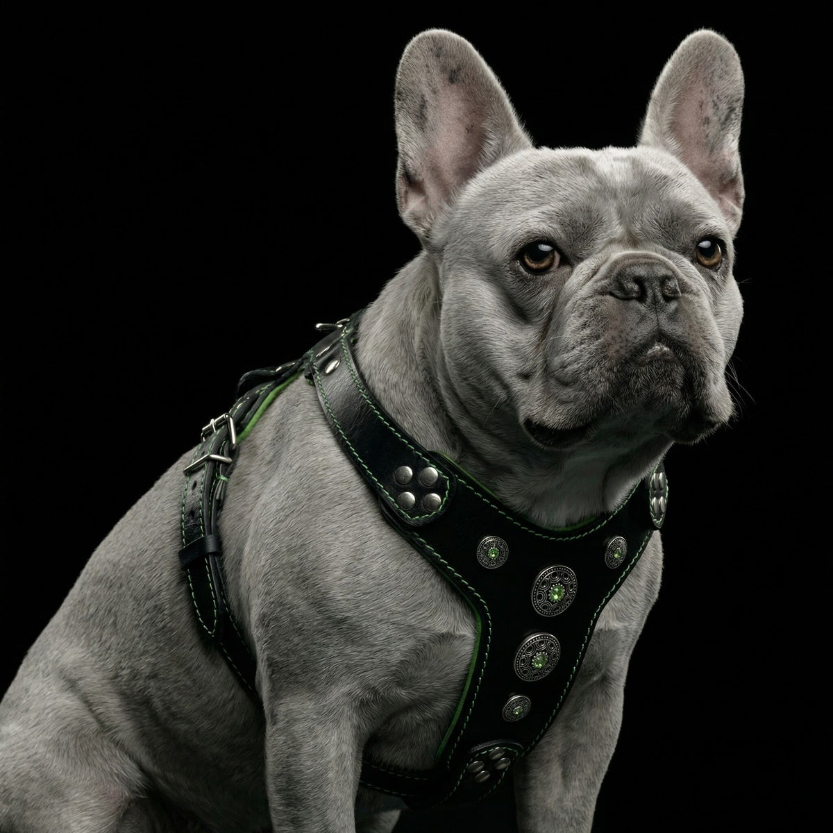 Bijou Harness — Black & Green (Small to Medium)