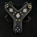 Aztec Harness — Black