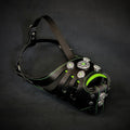 Bijou Basket Muzzle — Black & Green