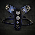Bijou Harness — Black & Blue (Small to Medium)