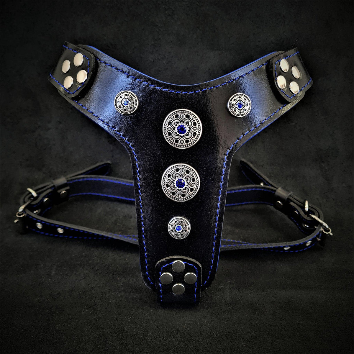 Bijou Harness — Black & Blue (Small to Medium)