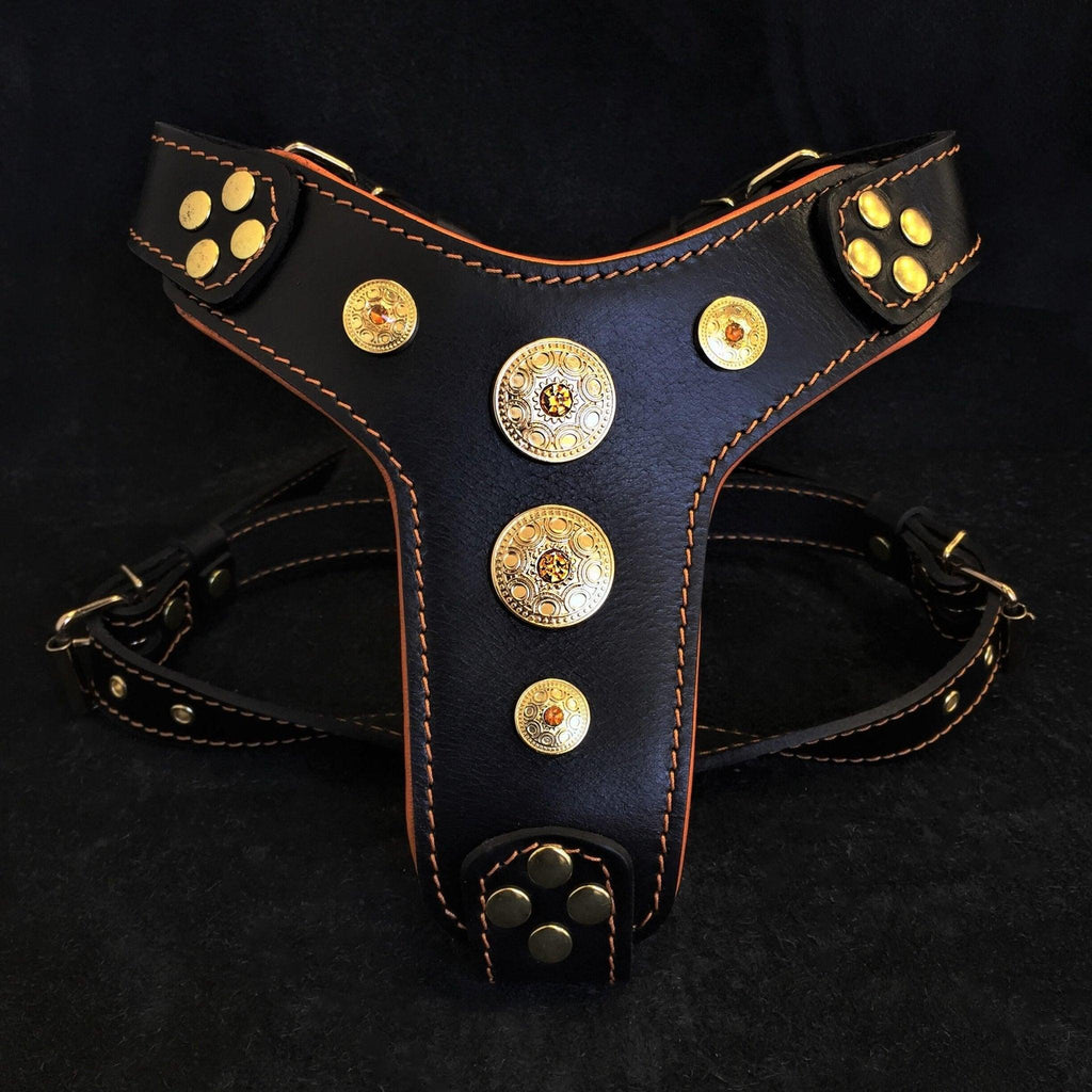 Bijou Harness — Black & Orange (Small to Medium)