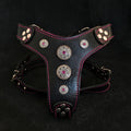 Bijou Harness — Black & Pink (Small to Medium)