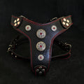 Bijou Harness — Black & Red (Small to Medium)