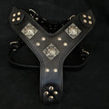Eros Harness — All Black