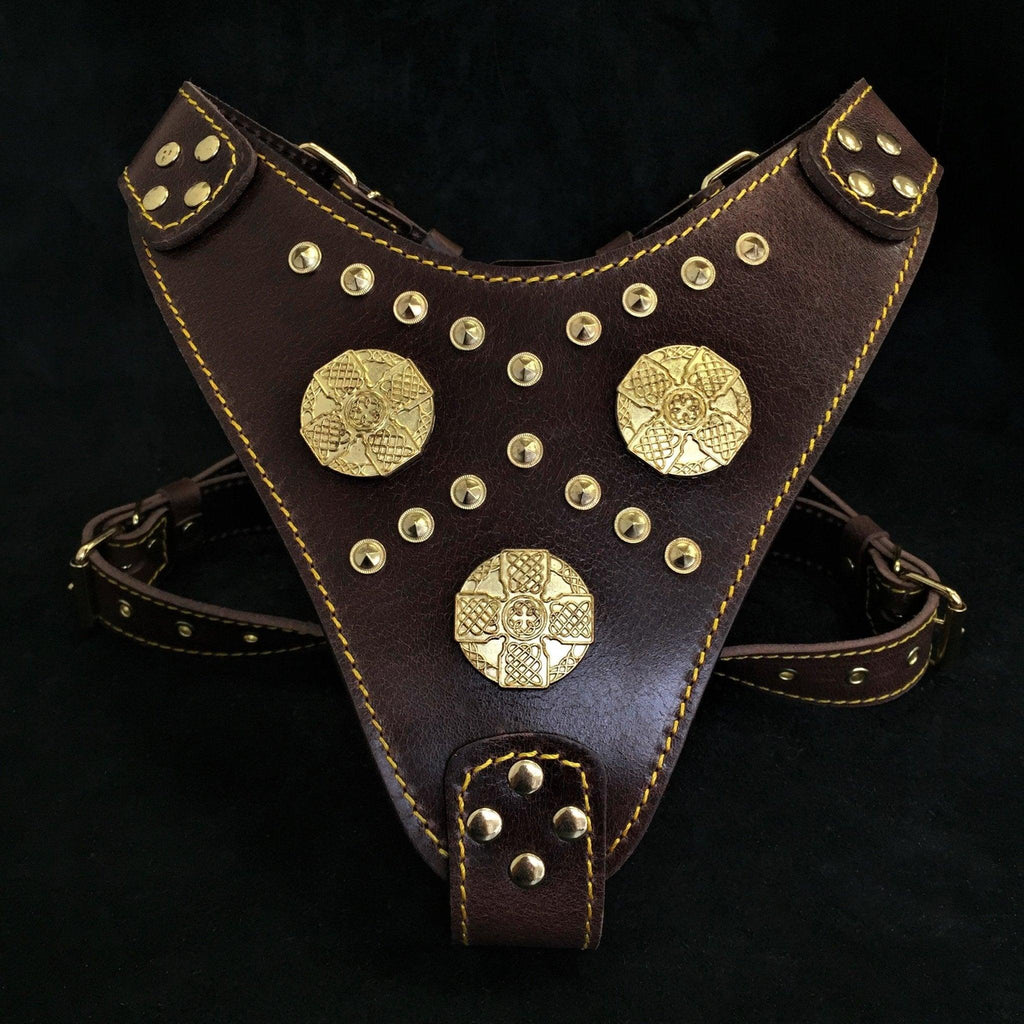 Maximus Harness — Brown & Gold (Big Dog)