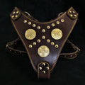 Maximus Harness — Brown & Gold (Big Dog)