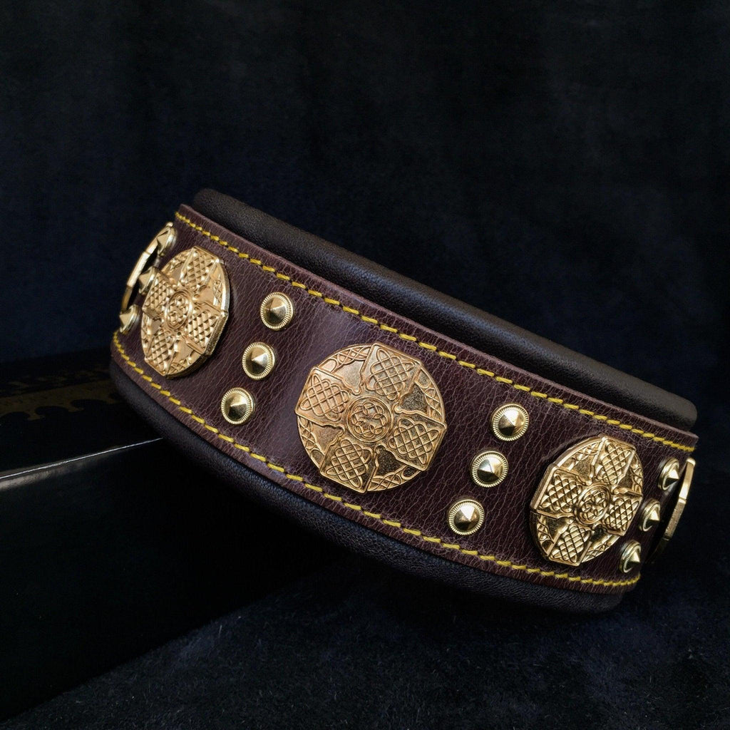 Maximus Collar — Brown & Gold (2.5 Inch)