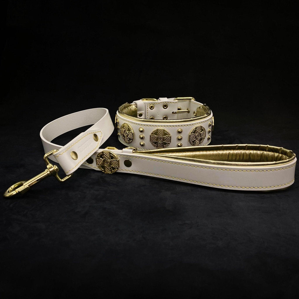 Maximus Collar — White & Gold (2.5 Inch)