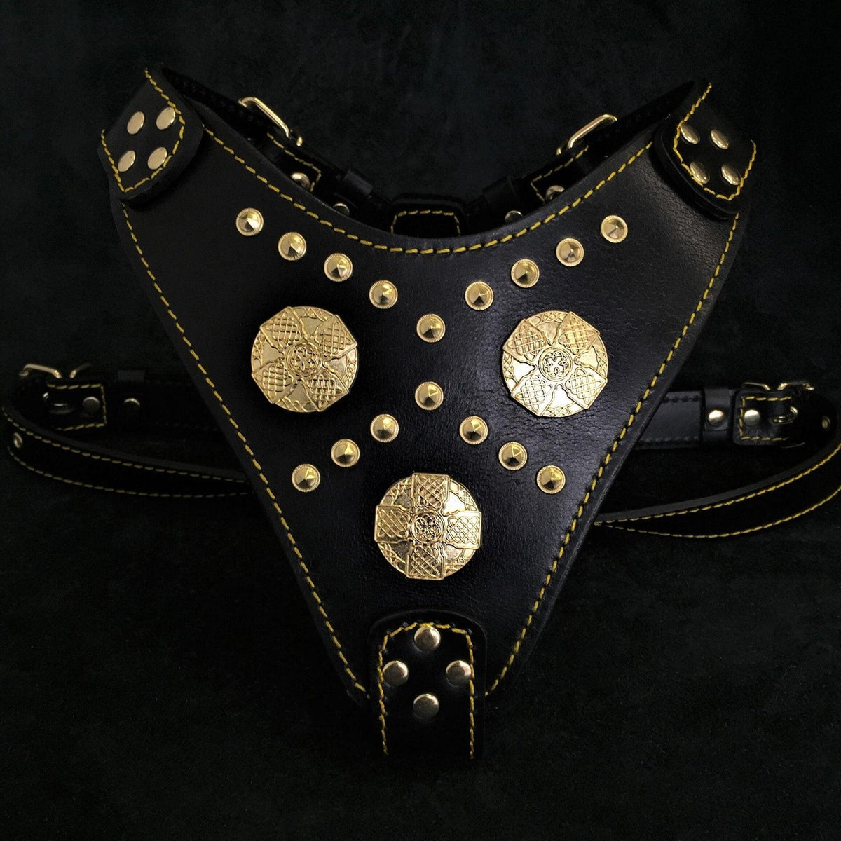 Maximus Harness — Black & Gold (Big Dog)