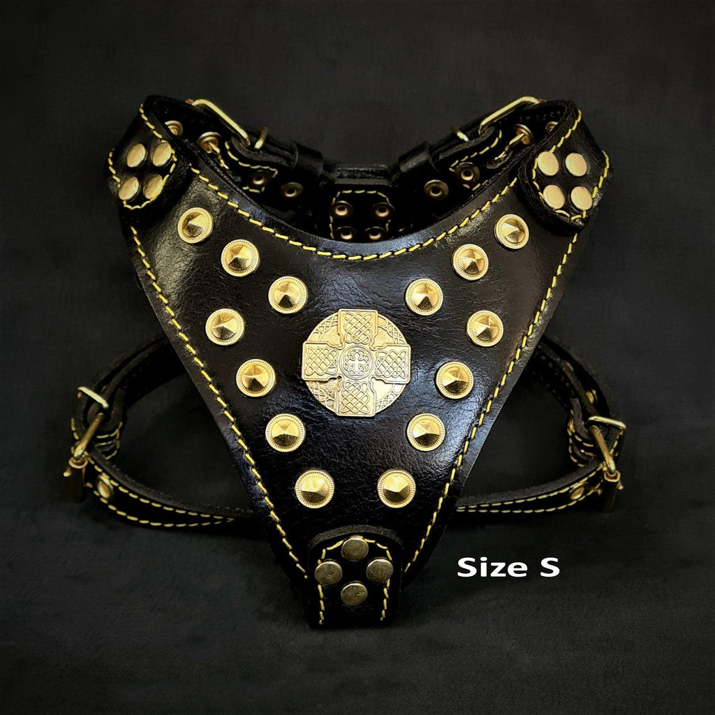 Maximus Harness — Black & Gold