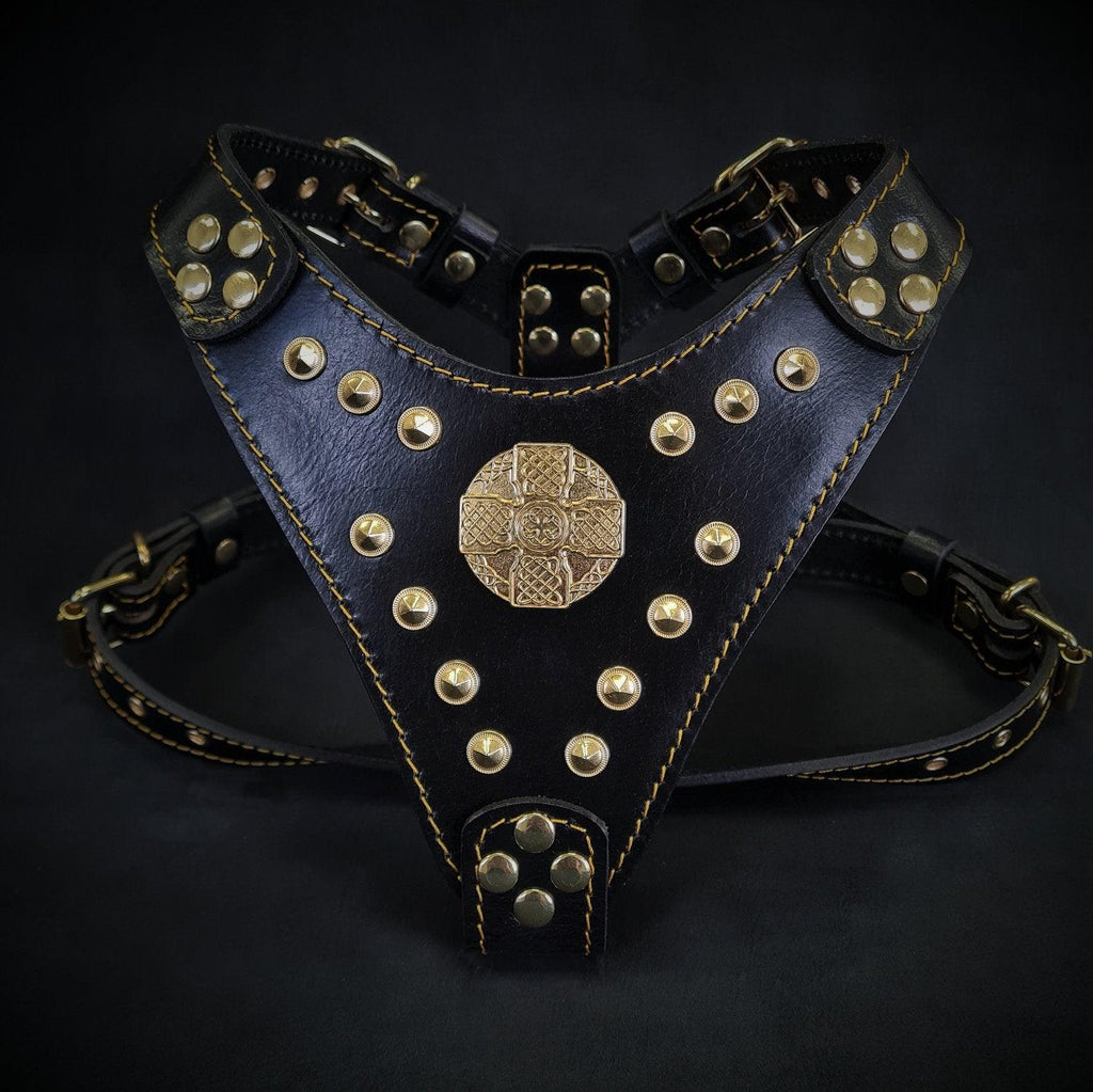 Maximus Harness — Black & Gold