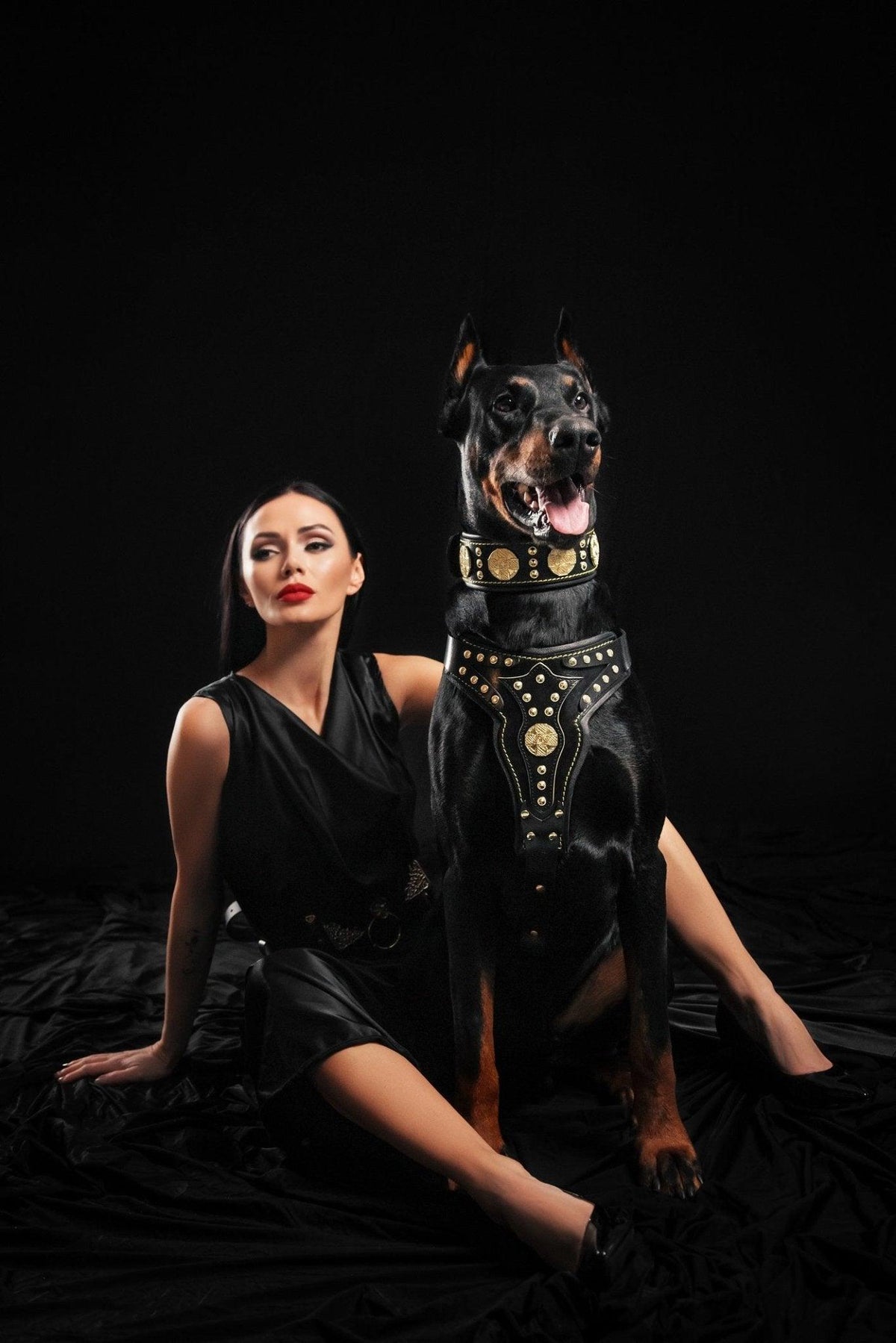 Maximus Harness V2 — Black & Gold (Big Dog)