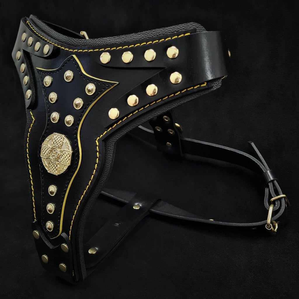Maximus Harness V2 — Black & Gold (Big Dog)