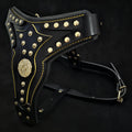 Maximus Harness V2 — Black & Gold (Big Dog)