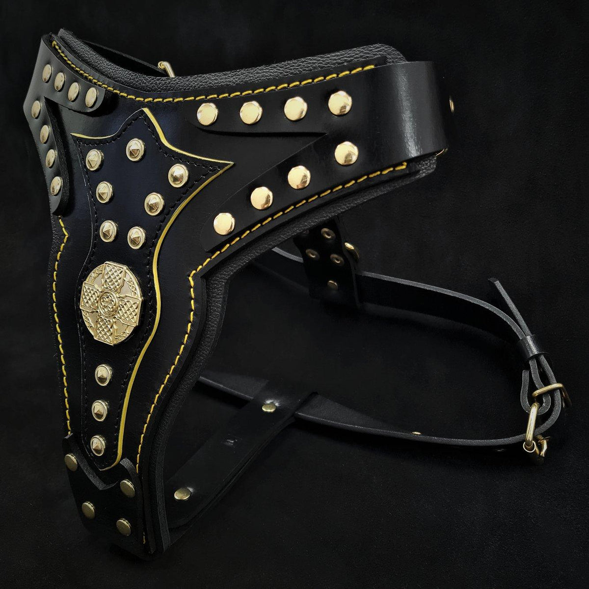 Maximus Harness V2 — Black & Gold (Big Dog)