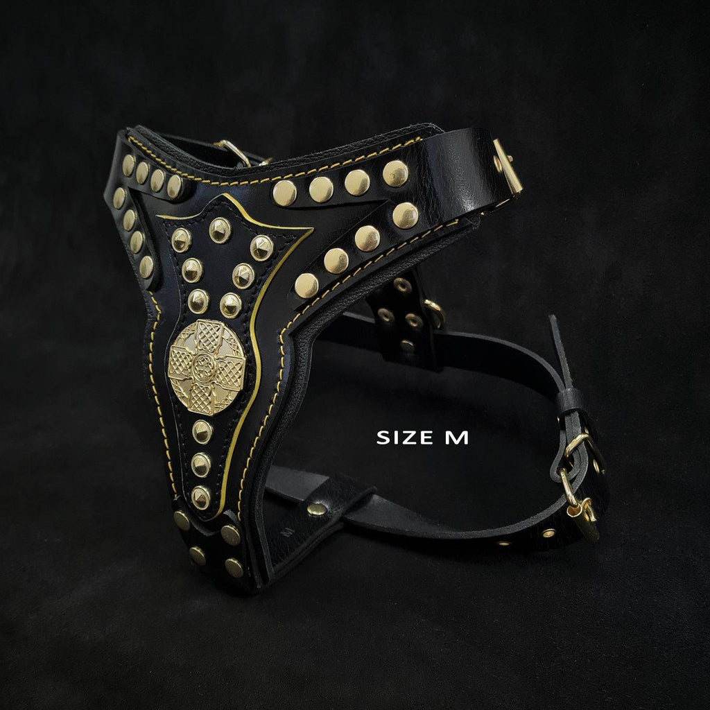 Maximus Harness V2 — Black & Gold (Big Dog)