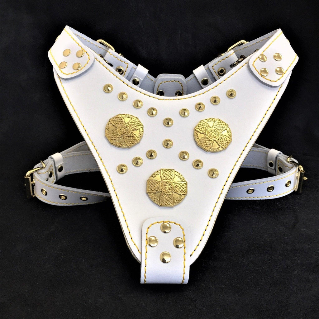 Maximus Harness — White & Gold (Big Dog)