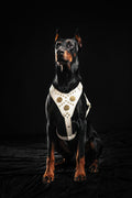 Maximus Harness — White & Gold (Big Dog)