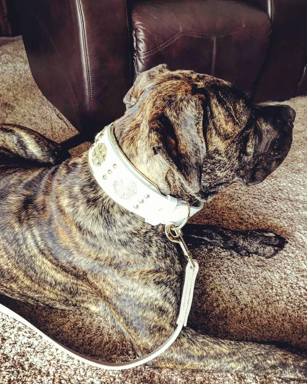 Maximus Leather Leash — White & Gold